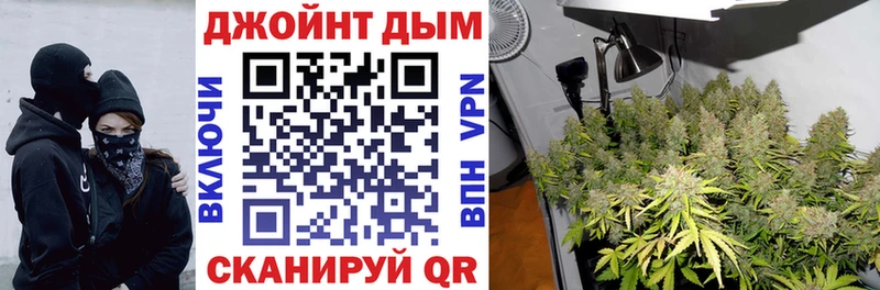 Купить где Сельцо Канабис SATIVA & INDICA